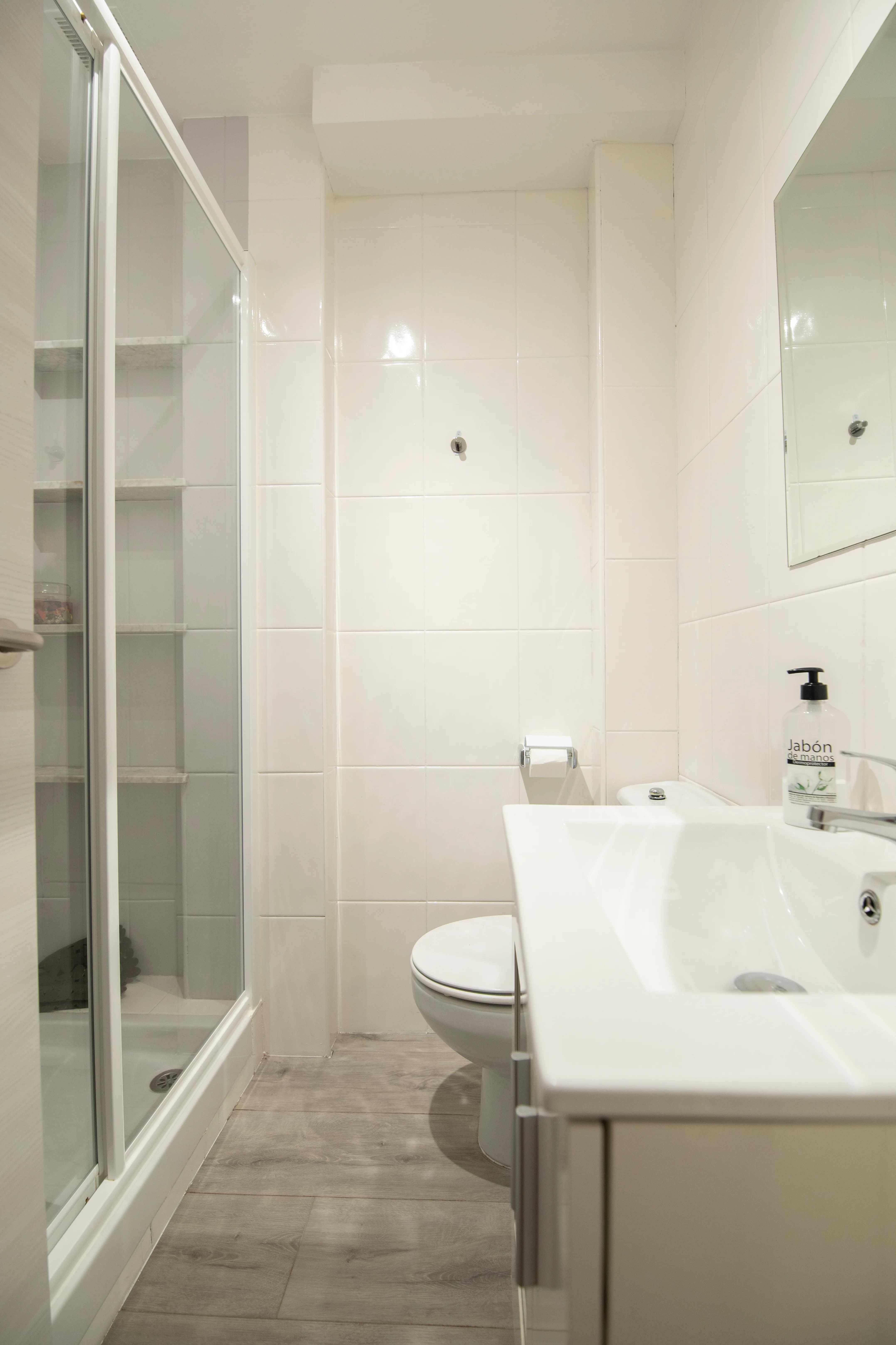 Baño con plato de ducha